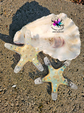 Load image into Gallery viewer, 3.75 inch 3D Starfish Silicone Mold