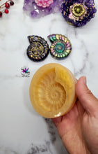 Load image into Gallery viewer, 2.5 inch Ammonite Shell Silicone Mold for Resin