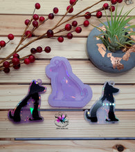 Load image into Gallery viewer, 2.75 inch HOLO Dog Cat Silicone Mold for Resin