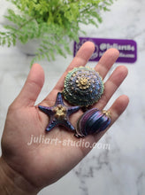 Load image into Gallery viewer, 3D Beach Treasures Silicone Mold for Resin
