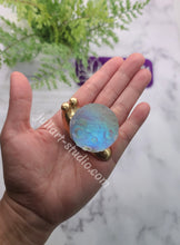 Load image into Gallery viewer, 2.25 inch 3D Moon Snail Silicone Mold for Resin