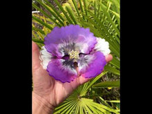 Load and play video in Gallery viewer, 6 inch 3D Pansy flower set Silicone Mold for Resin