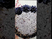 Load and play video in Gallery viewer, 6 inch Druzy Disk Insert Silicone Mold for Resin