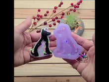Load and play video in Gallery viewer, 2.75 inch HOLO Dog Cat Silicone Mold for Resin
