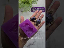 Load and play video in Gallery viewer, 3D Turtle Set Silicone Mold for Resin