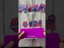 Load and play video in Gallery viewer, 2 - 2.5 inch Owl Keychain Set Silicone Mold for Resin casting