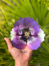 Load image into Gallery viewer, 6 inch 3D Pansy flower set Silicone Mold for Resin