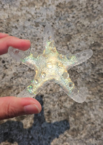 3.75 inch 3D Starfish Silicone Mold