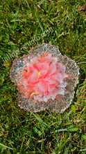 Load image into Gallery viewer, 4.5 inch HOLO Crystal Edge Flower Dish Silicone Mold for Resin casting
