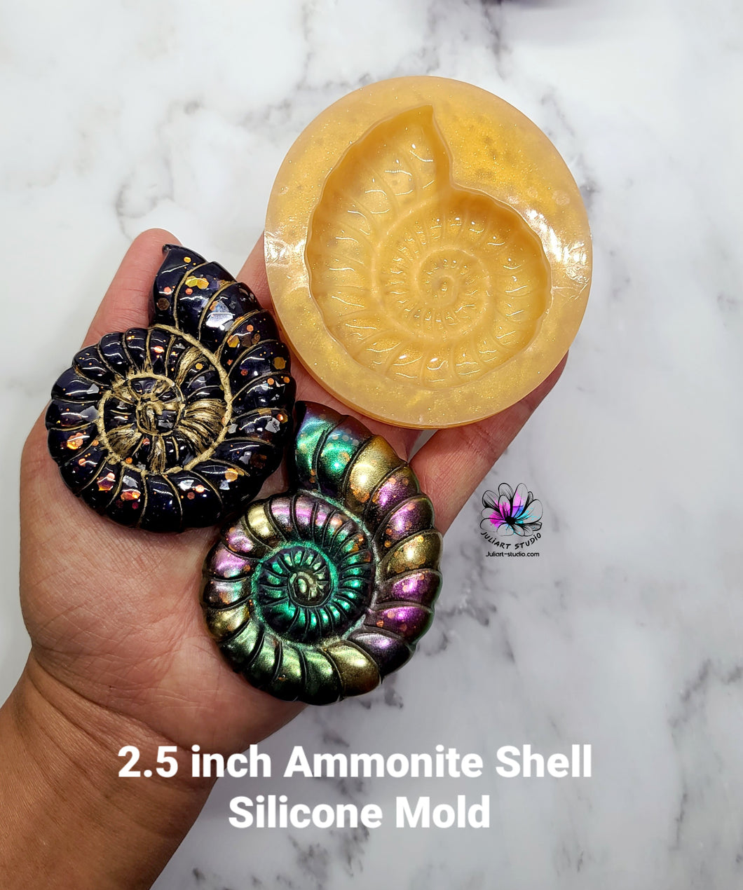 2.5 inch Ammonite Shell Silicone Mold for Resin