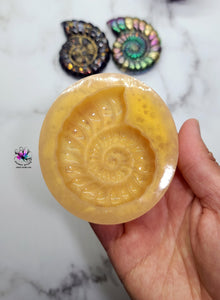 2.5 inch Ammonite Shell Silicone Mold for Resin