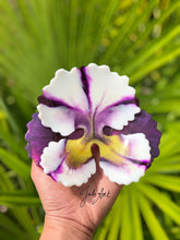 Load image into Gallery viewer, 6 inch 3D Pansy flower set Silicone Mold for Resin
